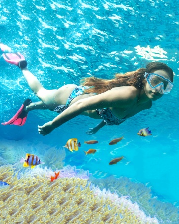 Diving Mask Snorkeling Gear Kids Adult Snorkel Mask Dive Goggles Swim goggles with Nose Cover