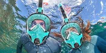 Full Face Snorkel Mask Adults