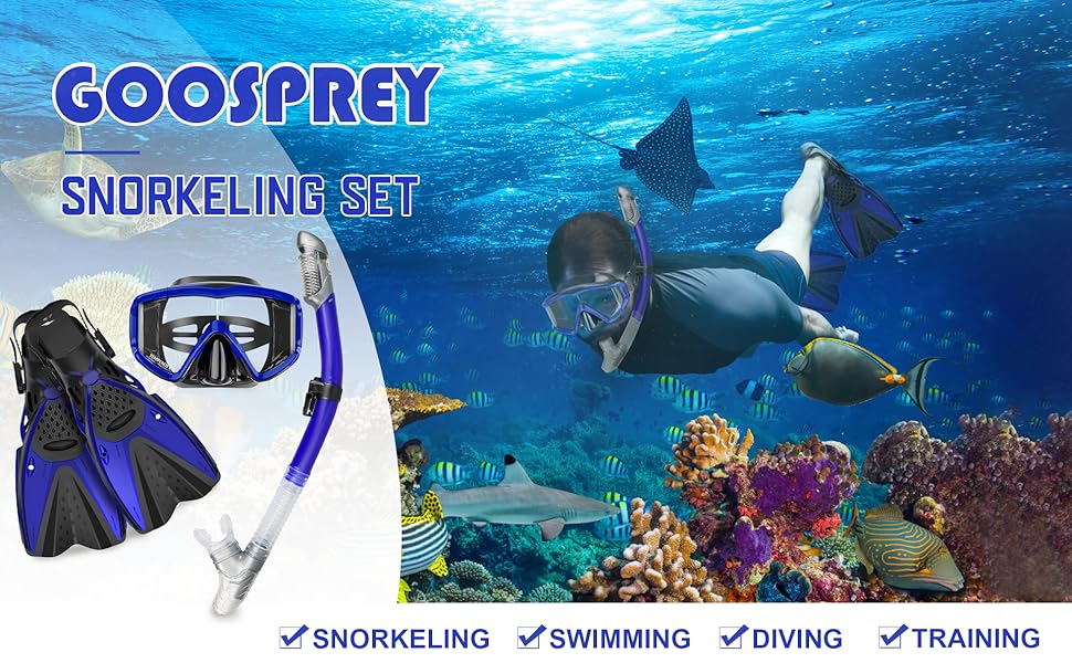 Snorkeling Gear