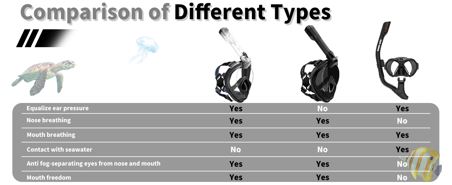 snorkeling gear for adults